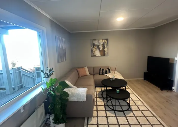 Cozy In *